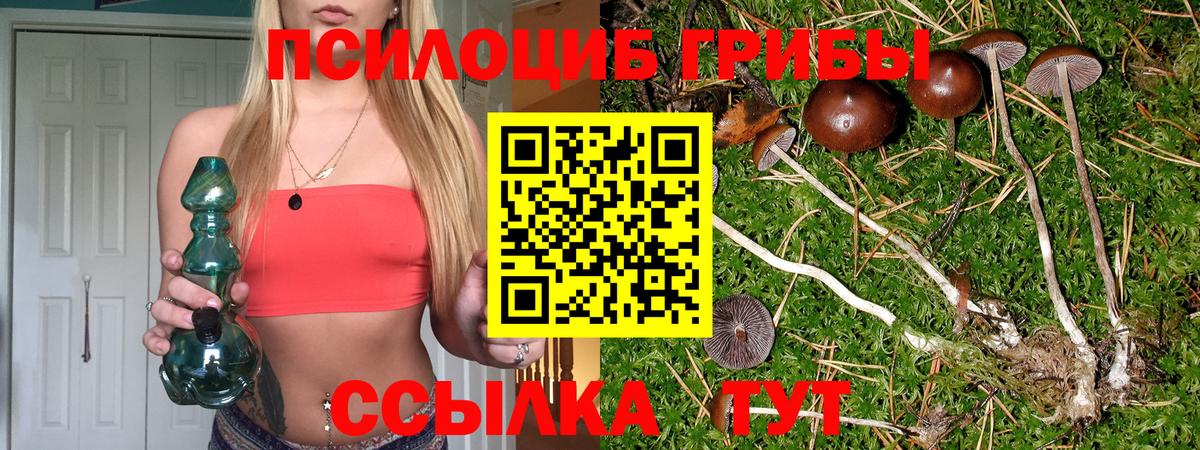 Кохма  Псилоцибиновые грибы прущие грибы  наркота  Вход с VPN 